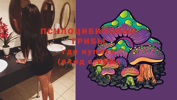прущие крисы Вязьма