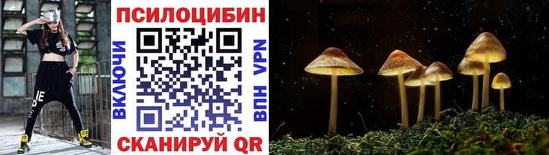 Псилоцибиновые грибы Psilocybe  блэк спрут ТОР  Камень-на-Оби 